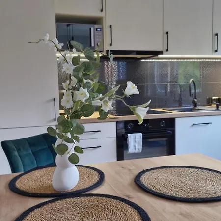 Appartement Elite 1 Jezyce- Baranczaka 1