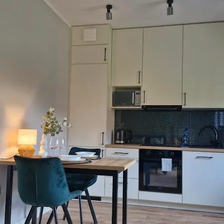 Appartement Elite 1 Jezyce- Baranczaka 1