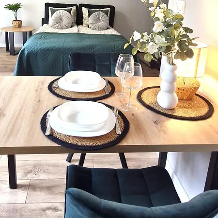 Elite 1 Jezyce- Baranczaka 1 Apartman Poznań