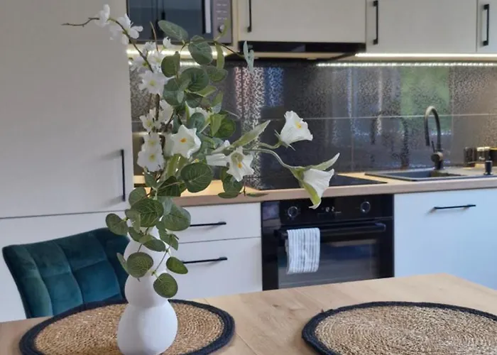 Apartament Elite 1 Jeżyce- Barańczaka 1