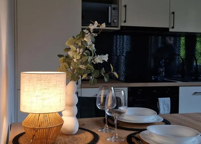 Apartament Elite 1 Jeżyce- Barańczaka 1