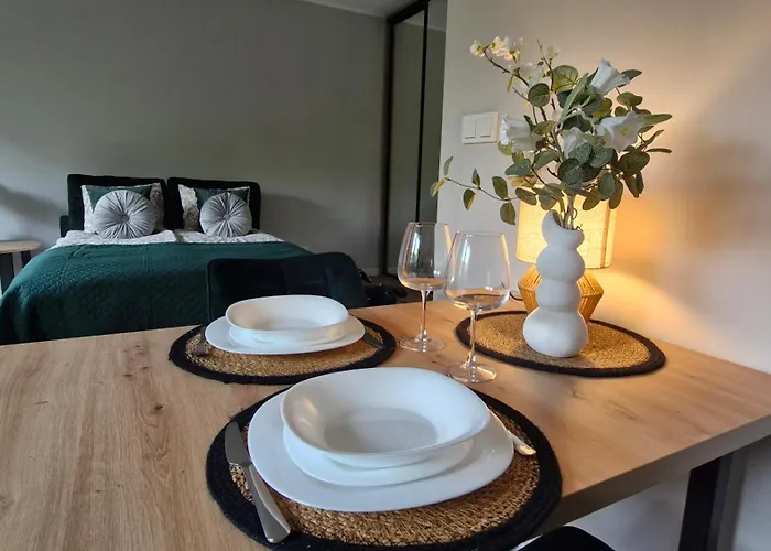 Elite 1 Jeżyce- Barańczaka 1 Apartament *