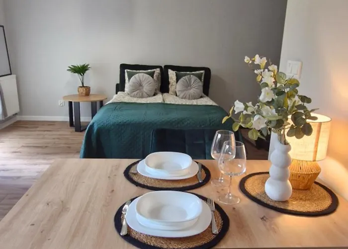 Elite 1 Jeżyce- Barańczaka 1 Apartament