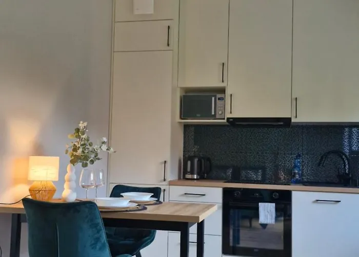 Apartament Elite 1 Jeżyce- Barańczaka 1