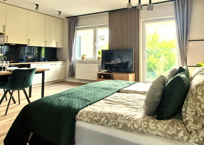 Elite 1 Jeżyce- Barańczaka 1 Apartament *