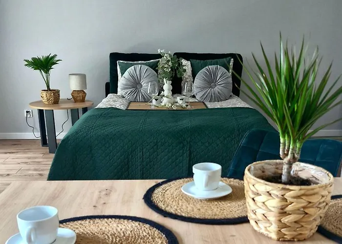 Apartament Elite 1 Jeżyce- Barańczaka 1 Poznań